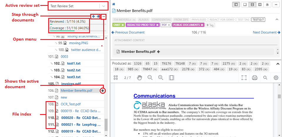 Using the document viewer for reviews