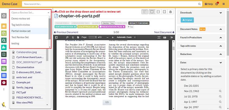 Open review set from the document viewer