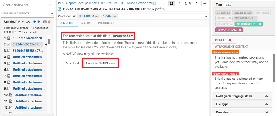 Document Viewer for an errored or processing file