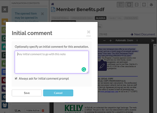 Initial Comment for Annotation